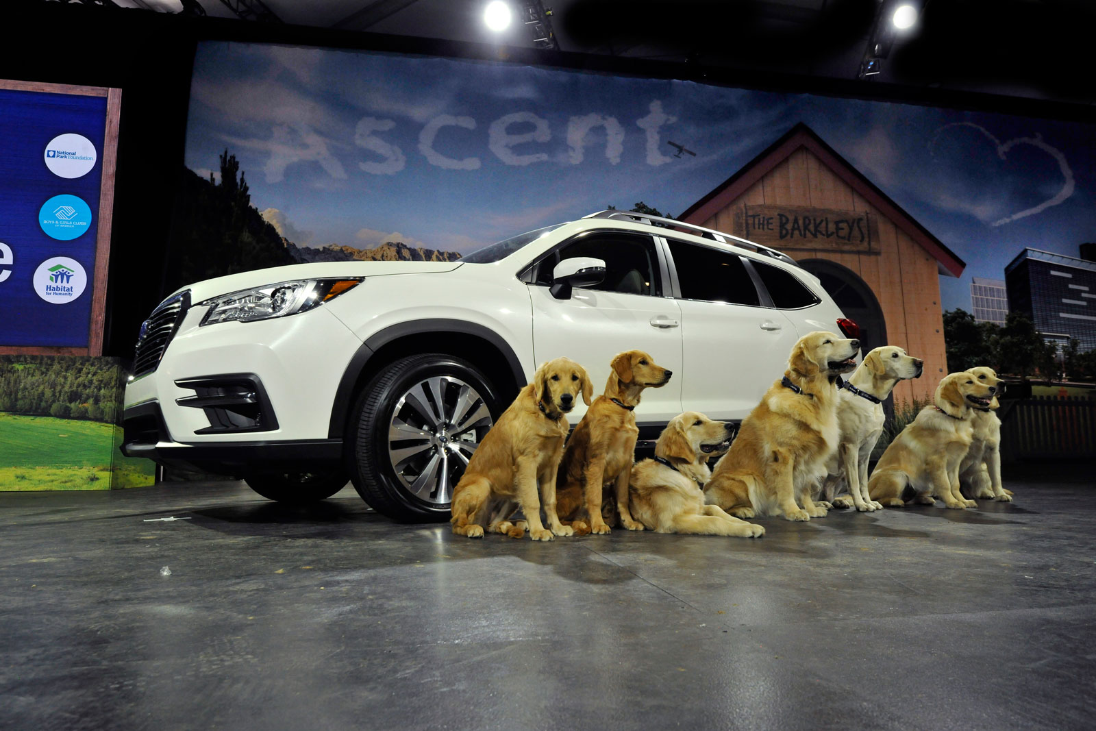 SUBARU ASCENT DEBUT