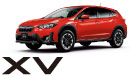 XV