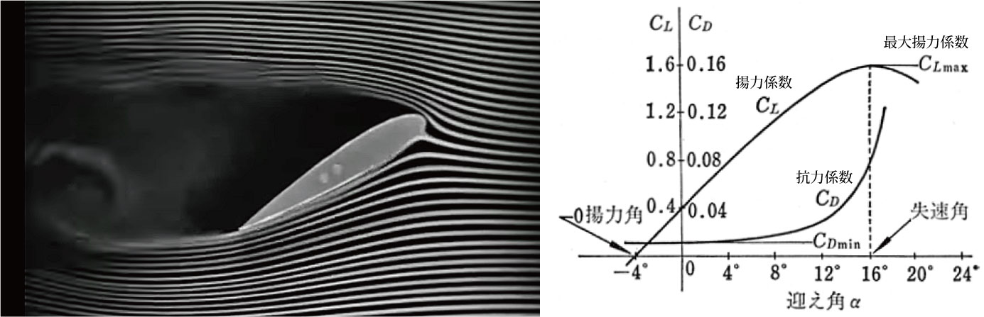 失速時の翼周りの流れと揚力／抗力と迎角の関係